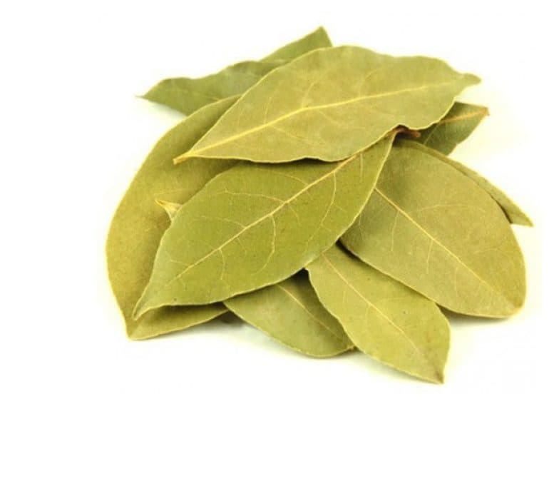 Bay Leaf — image 1 of 1