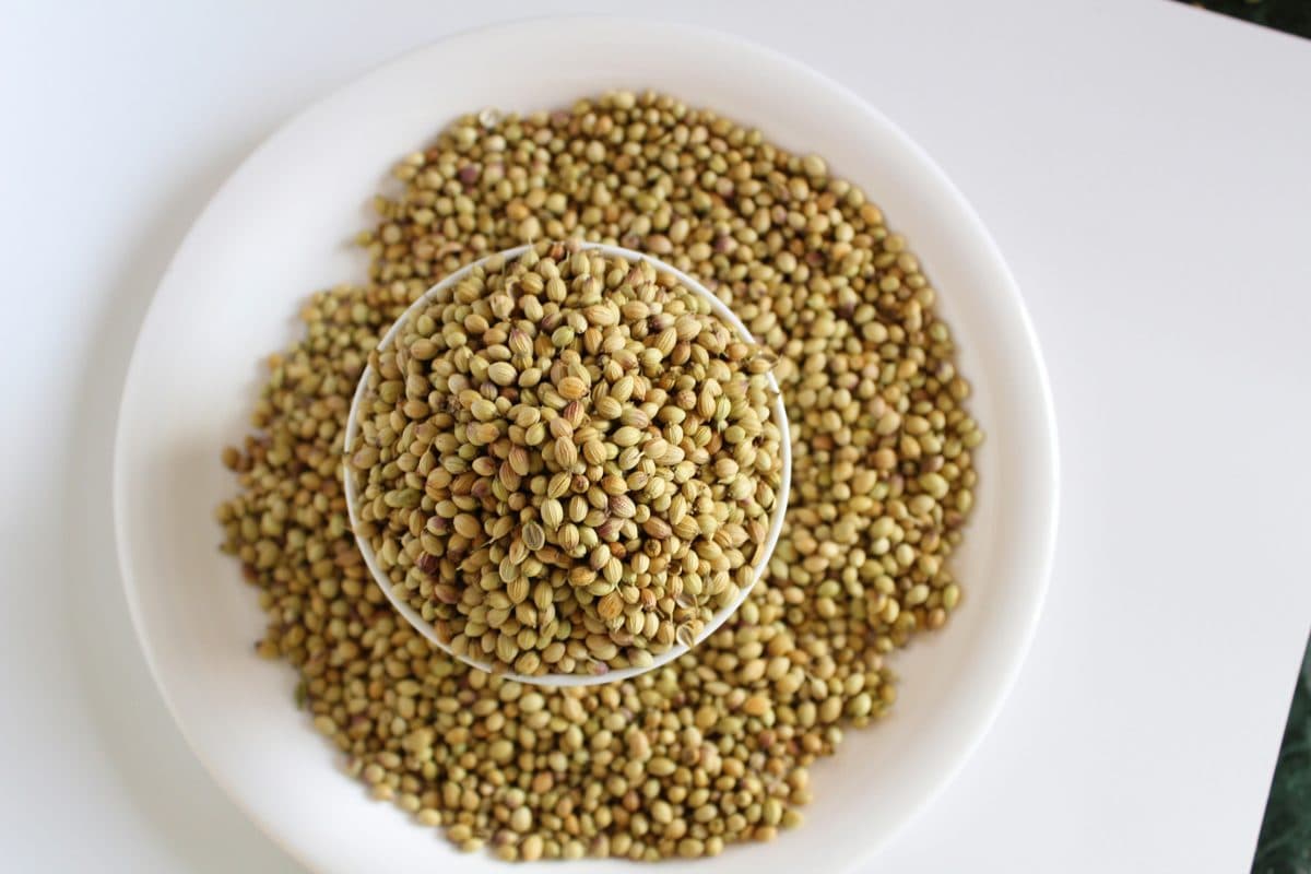 Coriander Seeds — image 1 of 1