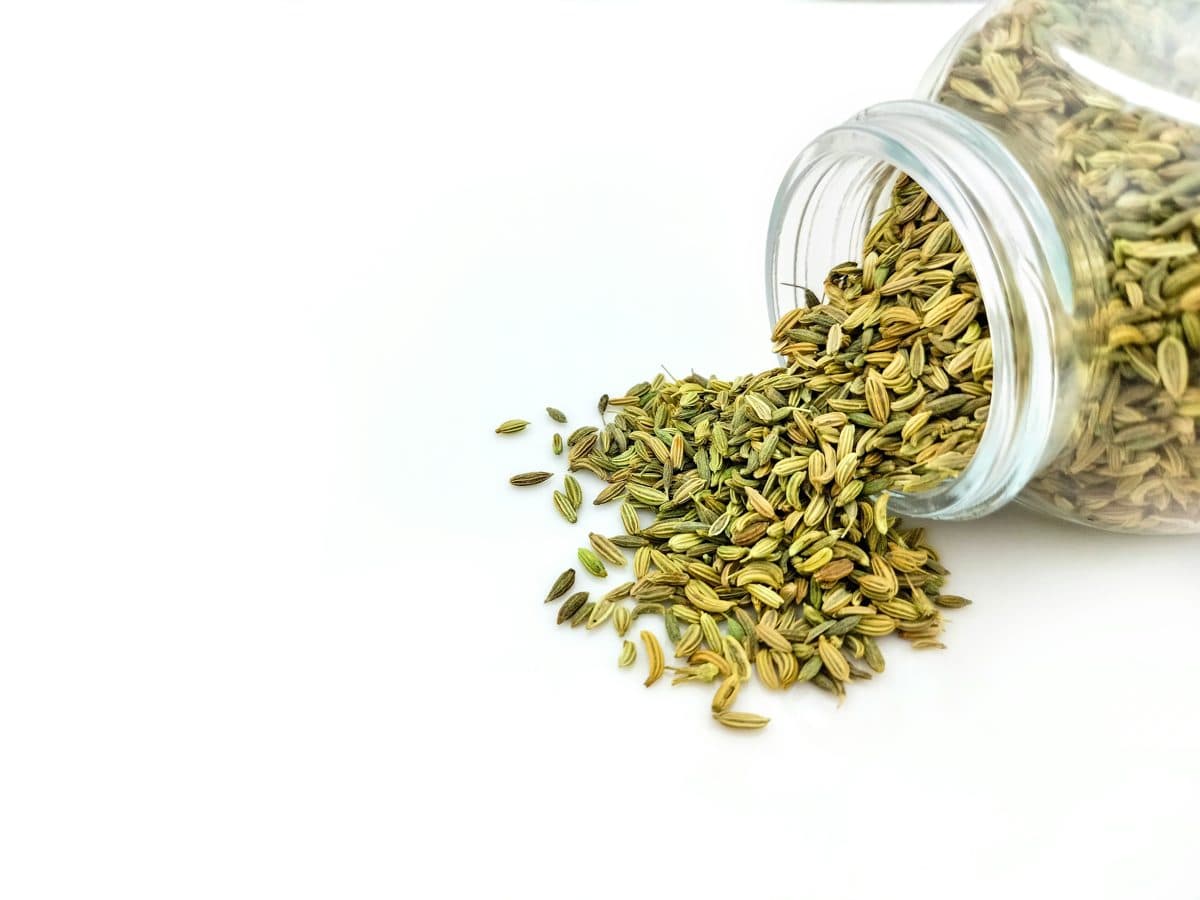 Fennel Seeds — image 1 of 1